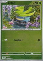 Lotad (Reverse) (005/094)