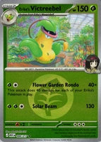 Erika's Victreebel (Energy Symbol Pattern) (006/217)