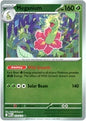 Meganium (Reverse) (010/132)