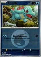 Totodile (Energy Symbol Pattern) (041/217)