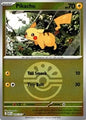 Pikachu (Friend Ball) (055/217)