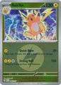 Raichu (Energy Symbol Pattern) (056/217)