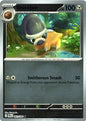 Shieldon (Reverse) (061/084)
