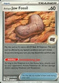 Antique Jaw Fossil (Reverse) (068/088)