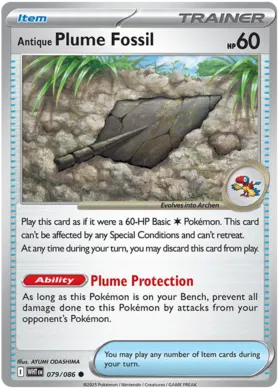 Antique Plume Fossil (079/086)