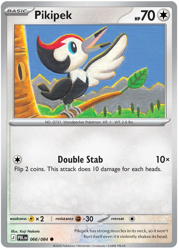Pikipek (066/084)