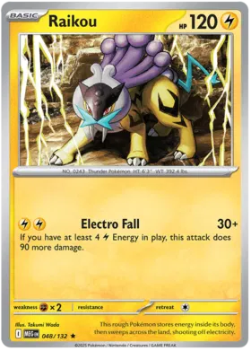 Raikou (Holo) (048/132)