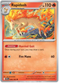 Rapidash (030/182)