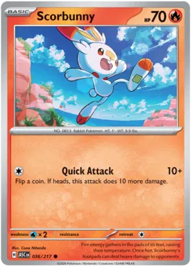 Scorbunny (036/217)