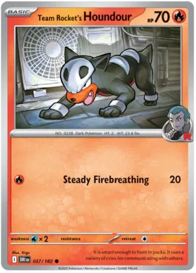 Team Rocket's Houndour (037/182)