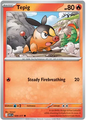 Tepig (029/217)