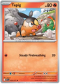 Tepig (029/217)