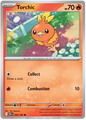 Torchic (040/182)