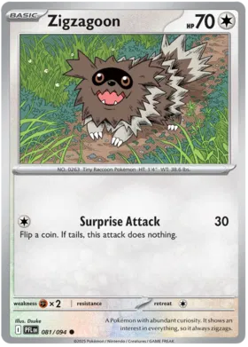 Zigzagoon (081/094)